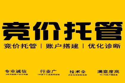 案例解析：竞价推广代运营助力企业实现精准营销